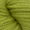 EstelleChunky - 320 Agave.jpg